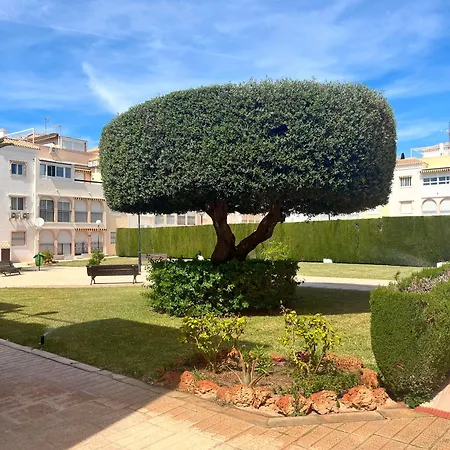 2 Bedrooms Apartment Torrevieja