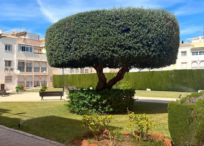 2 Bedrooms Appartement Torrevieja